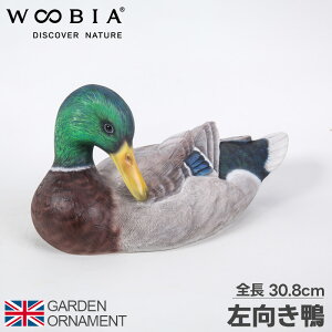   J  IuWF I[ig K[fI[ig u K[fjO A Aj}  킢 ybg l` E[rA woobia 