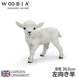 r Ђ qcW qr IuWF I[ig K[fI[ig u K[fjO A Aj}  ybg l` E[rA woobia 