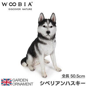VxAnXL[ nXL[   IuWF I[ig K[fI[ig u A Aj}  킢 ybg l` E[rA woobia 