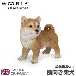 Č q   IuWF I[ig K[fI[ig u K[fjO A Aj}  킢 ybg l` E[rA woobia 