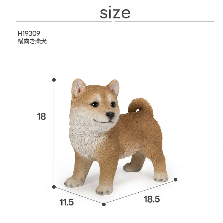 楽天市場】柴犬 子犬 犬 いぬ オブジェ オーナメント ガーデン 