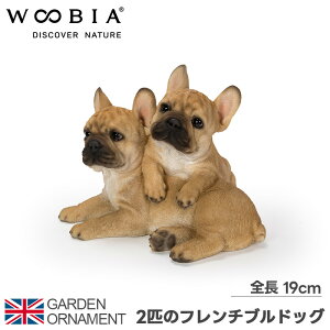 2C̃t`uhbO   IuWF I[ig K[fI[ig u K[fjO A Aj}  ybg E[rA woobia 
