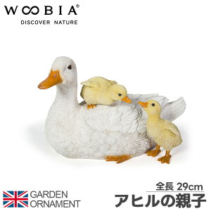Aq eq Ђ Ɗ IuWF I[ig K[fI[ig u K[fjO A Aj}  킢 E[rA woobia 