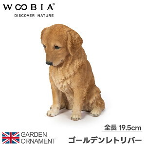 S[fgo[   IuWF I[ig K[f u K[fjO A Aj}  킢 E[rA woobia 
