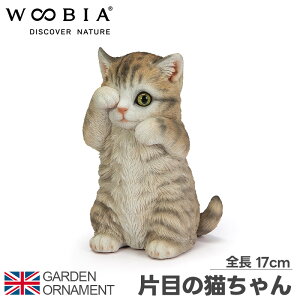 L ˂ Ж  B I[ig K[fI[ig u K[fjO uA I Aj}  IuWF ybg l`  E[rA woobia 