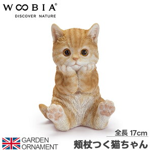 L ˂ j  I[ig K[fI[ig u K[fjO uA I Aj} ybg l`  E[rA woobia 