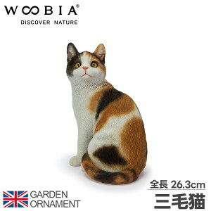 L ˂ OєL IuWF I[ig K[fI[ig u K[fjO A Aj}  킢 ybg l`  E[rA woobia 