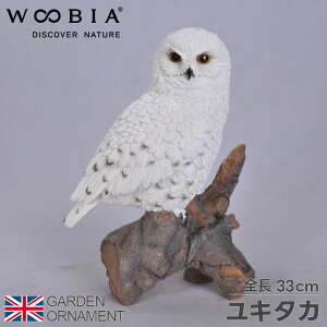 L^J I[ig K[fI[ig ӂ낤 tNE  u 䂫 u | Aj} IuWF l`  }XRbg woobia 