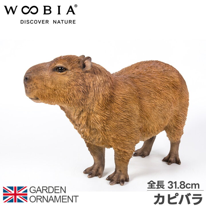 楽天市場】カピバラ ガーデンオーナメント 大型 庭 置き物 動物 本物 