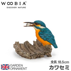 JZ~ I[ig K[fI[ig u 킹  u | A I Aj}  킢 IuWF }XRbg woobia 