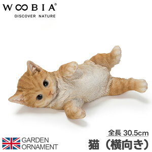 グĂ L  I[ig K[fI[ig u u Aj}  킢 IuWF l` }XRbg woobia 