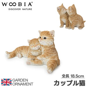 L C ǂ Jbv ˂ IuWF I[ig K[fI[ig u A Aj}  킢 ybg l` E[rA woobia 