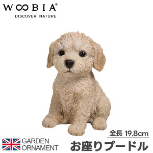 v[h   e IuWF I[ig K[fI[ig u K[fjO A Aj}  l` E[rA woobia 
