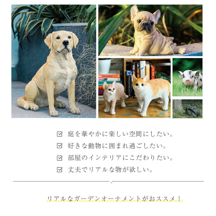 楽天市場】柴犬 子犬 犬 いぬ オブジェ オーナメント ガーデン 