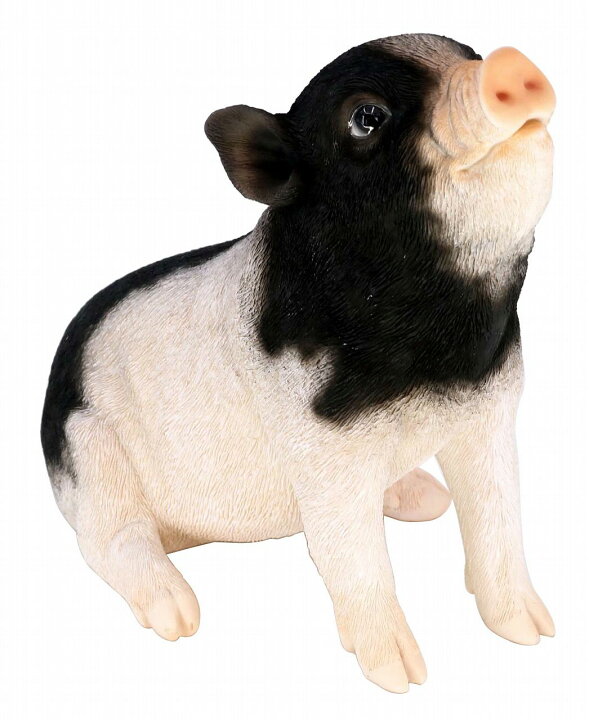 楽天市場 ガーデンオーナメント 豚 リアル 置物 庭 かわいい 黒ブタ 動物 本物そっくり お座り ほっこり 玄関 オブジェ おしゃれ ピッグ 外国風 子豚 牧場 プレゼント ダントツonline
