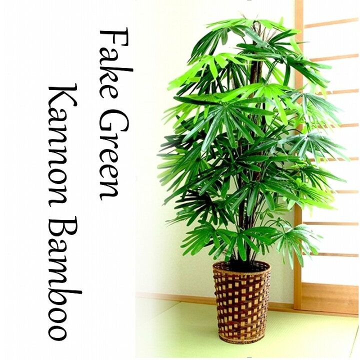 楽天市場 観音竹 人工観葉植物 フェイクグリーン 鉢植え 大型 おしゃれ 樹木 株立 インテリア グリーン 部屋 無機質 空間 快適 お手入れ 不要 自宅 室内 縁起物 ギフト スタイリッシュ 贈り物 モダン 飾り やすらぎ オフィス ギフト 和室 洋室 フェイク ダントツonline
