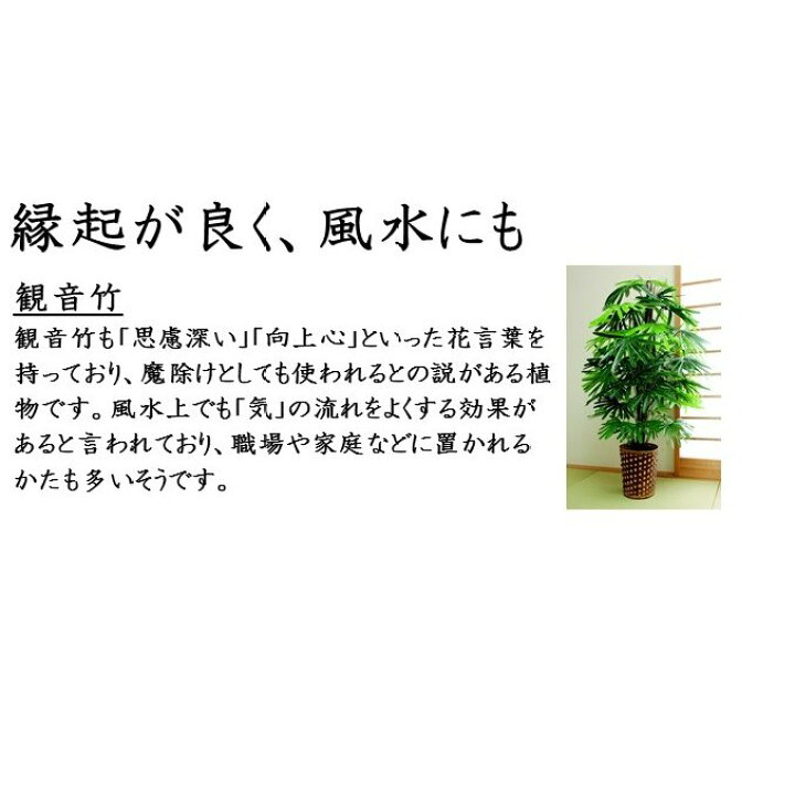 楽天市場 観音竹 人工観葉植物 フェイクグリーン 鉢植え 大型 おしゃれ 樹木 株立 インテリア グリーン 部屋 無機質 空間 快適 お手入れ 不要 自宅 室内 縁起物 ギフト スタイリッシュ 贈り物 モダン 飾り やすらぎ オフィス ギフト 和室 洋室 フェイク ダントツonline