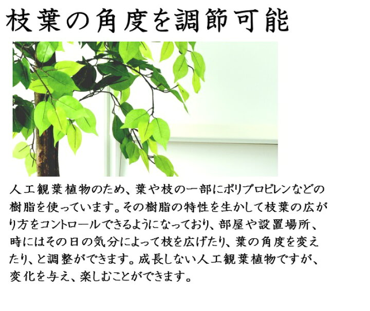 楽天市場 フェイクグリーン 2点セット 引っ越し祝い ベンジャミン 観音竹 大型 人工観葉植物 風水 リラックス おしゃれ バンブー インテリア オフィス プレゼント 観葉植物 大型 大きい 事務所 樹木 インテリア お手入れ不要 室内 ギフト 贈り物 モダン 縁起物 会社