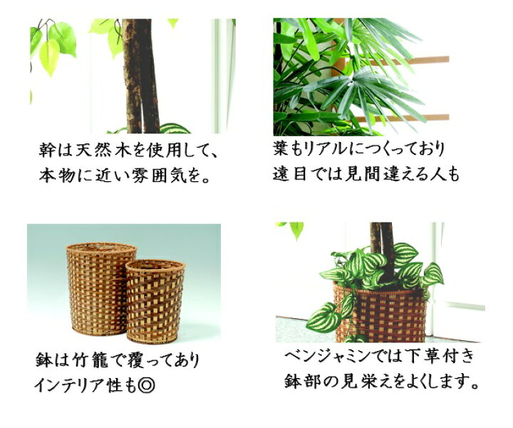 楽天市場 フェイクグリーン 2点セット 引っ越し祝い ベンジャミン 観音竹 大型 人工観葉植物 風水 リラックス おしゃれ バンブー インテリア オフィス プレゼント 観葉植物 大型 大きい 事務所 樹木 インテリア お手入れ不要 室内 ギフト 贈り物 モダン 縁起物 会社