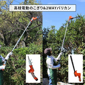 [htH[X 12VR[hX4WAY }؂c[Zbg LSA30BN-JP 1