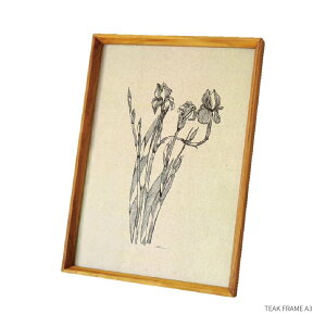 TEAK FRAME A3 `[Nt[ A3 ؐ ؘg z ʐ^ 31.5×43.8cm  i` k A hCt[ |X^[ t@ubN Ǌ|
