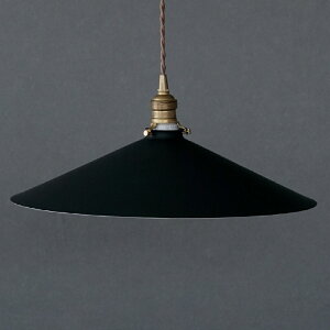 iron shade paraply ACAVF[h ptBƖZbg y_gCg _CjOƖ rO E26 60cm 60W k _ Vv  킢 ubN zCg