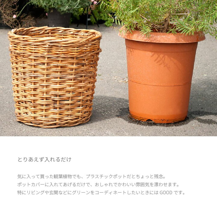 1644円 無料 植木鉢 脚付きプランターカバーS 直径19cm 底直径14cm ラタン 籐 ナチュラル バスケット かわいい おしゃれ 観葉植物 鉢カバー 3号 4号 1644円 無料 植木鉢 脚付きプランターカバーS 直径19cm 底直径14cm ラタン 籐 ナチュラル バスケット かわいい おしゃれ 観葉植物 鉢カバー 3号 4号
