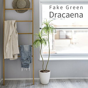 tFCNO[ hZi  140cm  lHϗtA ϗtA tFCN    lH rO  Q CeA  O[  Aؔ 킢 Mtg v[g X