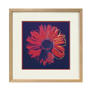 A[gpl AfB[EH[z  fCW[  G 42.5×42.5cm CeA VR t[ |bvA[g