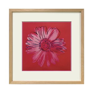 A[gpl AfB[EH[z  fCW[  G 42.5×42.5cm CeA VR t[ |bvA[g