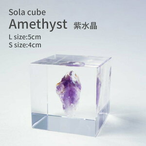  AWXg p[Xg[ Sola cube 4cm 5cm   \L[u  킢 k i` Vv CeA IuWF z W{   NA vY v[g 