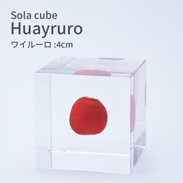 楽天市場】ワイルーロ 幸運のお守り 赤い実 Sola cube 4cm 宙 ソラ  