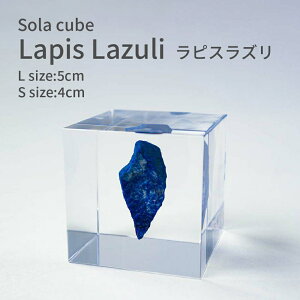 sXY  p[Xg[ Sola cube 4cm 5cm   \L[u  킢 k i` Vv CeA IuWF z W{   NA vY v[g