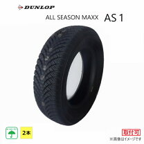 楽天市場】オールシーズンタイヤ 195/65/r15の通販