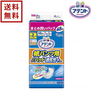 Aeg pcp炳pbhʋCvX 剤 2z 1P[X 48×3܁yzpi ނ pc pc^Cv Apbh lpނ Vlp lpIc