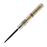 ダーツ バレル モンスターダーツ アナスタシア ハードダーツ 21.0g タングステン90% (GW ANASTASIA Steel…