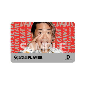 _[cCuJ[h DARTSLIVE PLAYER GOODS e J _[cCue[}ECuGtFNgt