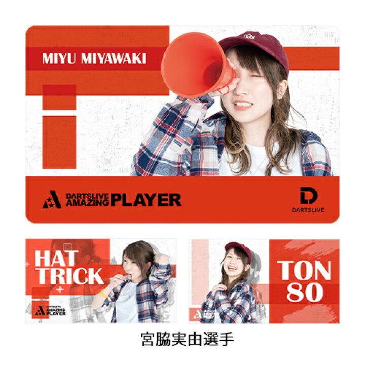 楽天市場】ダーツライブカード DARTSLIVE PLAYER GOODS第三弾 