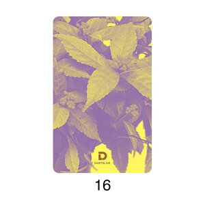 _[c DARTSLIVE CARD CuJ[h _[cCuJ[h 56-4