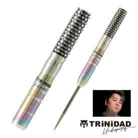 ダーツ バレル TRiNiDAD Undisputed HUGO2 Hugo Leung 選手モデル トリニダード ヒューゴ2 (メール便OK/5トリ)