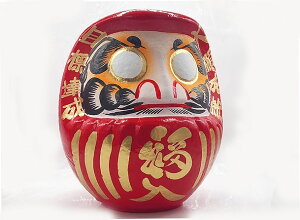 aG 蕨 IWi N 肾15(15)45cm  LN^[ ʃI[_[ 蕨 ^ v[g i I K  Ď  a EGfBO EGfB