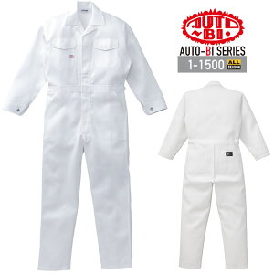 Ȃ  Y ƕ 1-1500 AUTO-BI  {n 100ciM RcC ƕ ƒ I[V[Y 4L