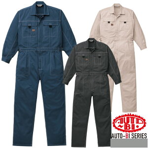 Ȃ  Y ƕ 1-3670 AUTO-BI  EHbVH 100 ciM RcC ƕ ƒ I[V[Y 4L-5L