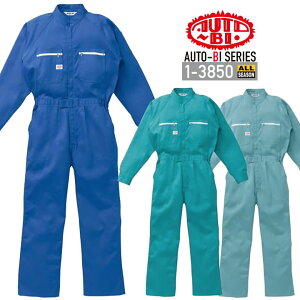 Ȃ  Y ƕ 1-3850 AUTO-BI  `ԈH 100% {n ciM RcC ƕ ƒ I[V[Y 4L-5L