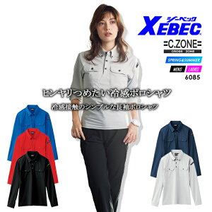 |Vc Y {^_E t ⊴ z  jp Y fB[X ƕ ƒ W[xbN 6085 XEBEC