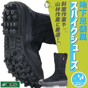 y5%OFFN[|11/1zn XpCN   e Ђ #30 H Ζʍ Rэ ނ AEghA ƌC XpCN RS