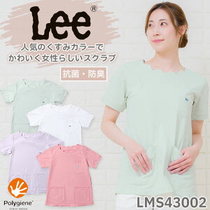 Lee XNu   ×p 傫TCY hN^[ i[X NjbN hJ {}bNX Y fB[X jp LMS43002 ₷ p |W 킢