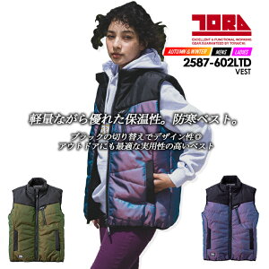 yzЈ h i hxXg AEgtBbgxXg 2587-602  H~ ۉ 2587V[Y h h ƕ ƒ gC` y2023 Vz