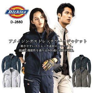 fBbL[Y [NEFA u] D-2880 Dickies Xgb` y u] WPbg  Y fB[X t H~ N ƕ ƒ  H 