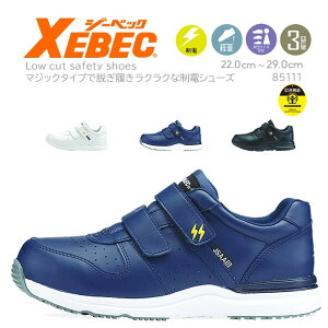 y5%OFFN[|11/1zSC W[xbN Z[teB[V[Y 85111  Xj[J[^Cv ÓdV[Y JSAA^F ÓdCѓdh~C ct }WbNe[vdl XEBEC 